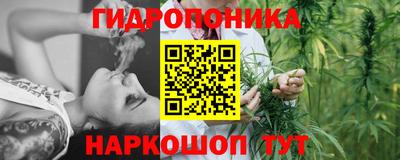 кокс Нарткала