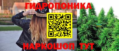 соль ск Наро-Фоминск